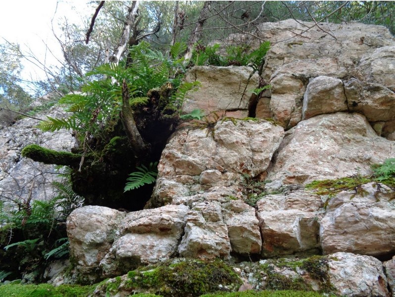 VALLO DEL NERA